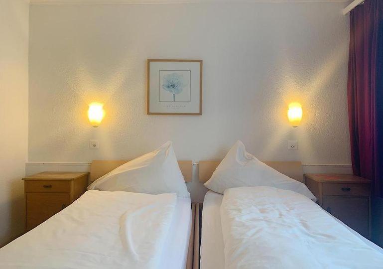 Hotel Rebstock Meiringen Zewnętrze zdjęcie